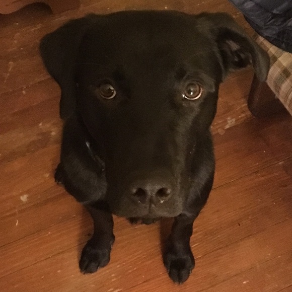 #CURVYNOTPLUS - Picture 10 of 14